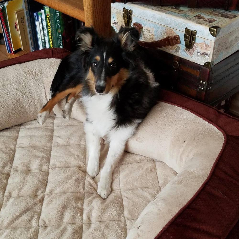 Meet your Posher, Kristi